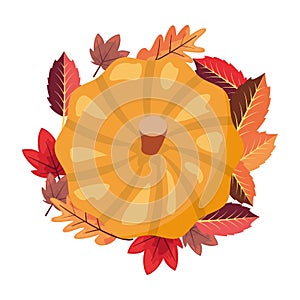 Pumpkin laeves foliage white background