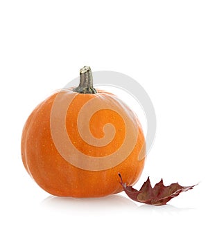 Pumpkin and leaf