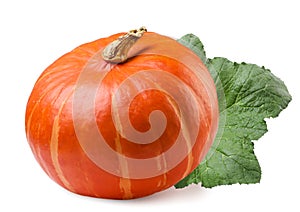 Pumpkin with a leaf close-up on a white background. Isolated