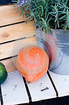 Pumpkin lies next to a wooden crate and lavender in a bucket.