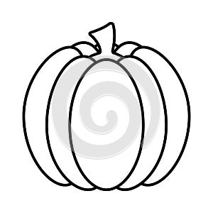Pumpkin Line Drawing Icon Vegetable PNG Illustration