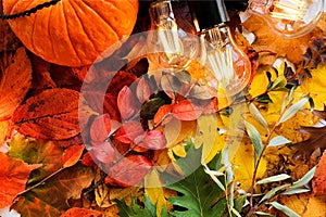 Pumpkin and magic lights on autumn bright colorful leaves. Fall flatlay, Ñozy atmosphere