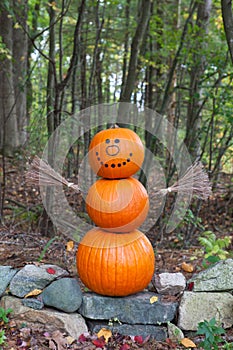 Pumpkin man in the woods