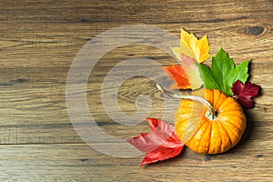 Pumpkin with Maple Leaves - Autumn Thanksgiving Background