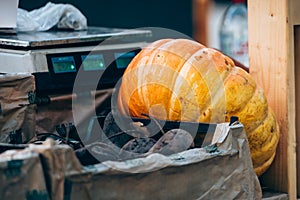 Pumpkin, market, autumn-autumn market and trade in natural products.