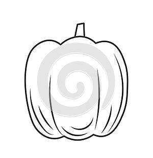 Pumpkin minimalist icon