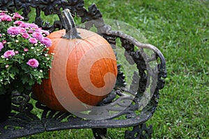 Pumpkin and Mum on Bench