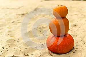 pumpkin in nature. autumn holiday harvest festival Halloween. day of the dead. Hallowmas photo