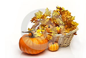 Pumpkin near a basket of leaves and pumpkins