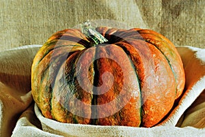 Pumpkin