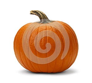 Calabaza 