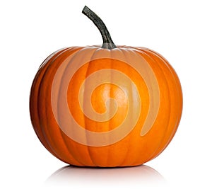 Calabaza 