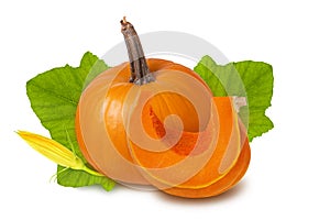 Pumpkin orange whole ripe fruit, slice and green leaves with flower isolated on white background, healthy food ingredient
