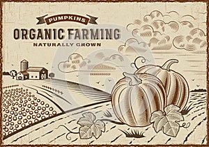 Pumpkin Organic Farming Landscape