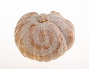 Pumpkin, Pumpkin on packground