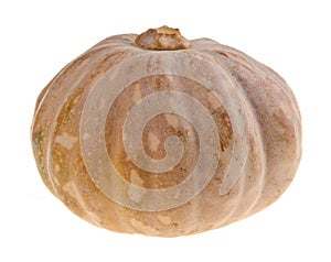 Pumpkin on packground