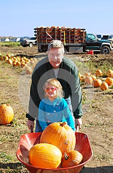 Pumpkin patch