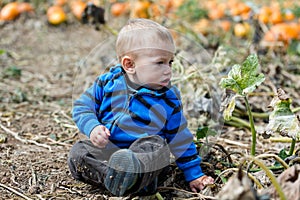 Pumpkin patch