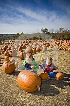 Pumpkin patch fun