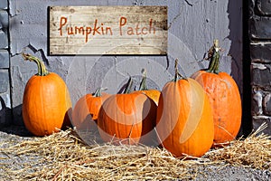 Pumpkin patch