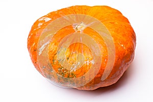 A pumpkin (Patisson pumpkin) lies in front of a white background