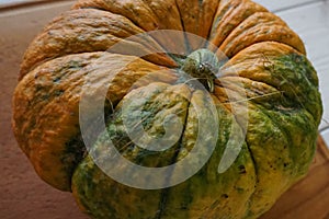 Pumpkin with peduncle . Buy stock photography.