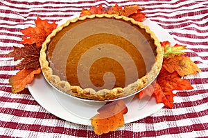 Pumpkin Pie