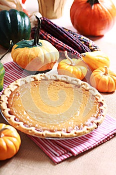 Pumpkin pie with autumn pumpkins and corn