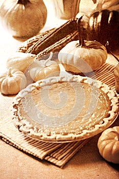 Pumpkin pie with autumn pumpkins and corn