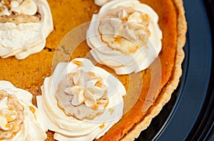 Pumpkin Pie