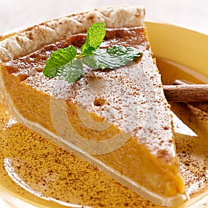 Pumpkin pie with mint garnish.