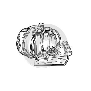 Pumpkin pie slice hand drawn in sketch style. Thanksgiving day design isolated on white background with pumpkin and pie