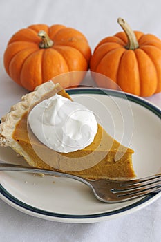Pumpkin Pie Slice - Vertical