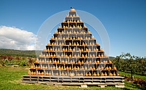 Pumpkin Pyramid