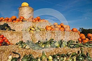 Pumpkin pyramid