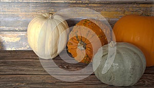 Pumpkin quash orange pumpkin gorde ugly