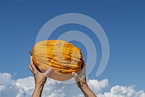 A pumpkin is raised against the blue sky by female hands, as if it were a rugby ball