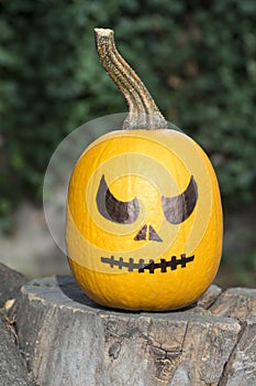 Pumpkin ready for halloween celebration, make up face