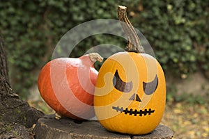 Pumpkin ready for halloween celebration, make up face