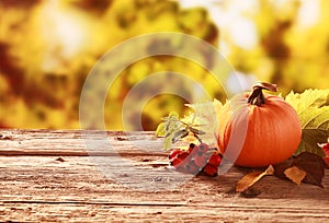 Pumpkin and red rose hips in an autumn garden