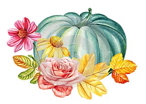 Pumpkin, rose flowers and yellow leaves on isolated background, watercolor botanical illustration, hand drawing flora