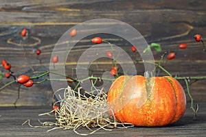 Pumpkin and rose hip branch