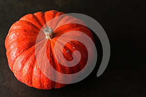Pumpkin rouge vif d`Etampes isolated on a dark background with copy space.