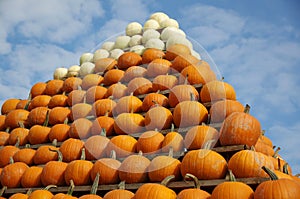 Pumpkin's Pyramid