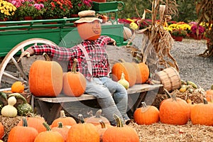 Pumpkin Scarecrow photo