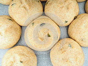Pumpkin seed buns proofed on baking paper
