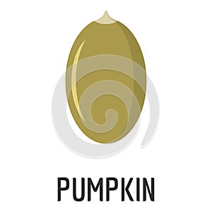 Pumpkin seed icon, flat style