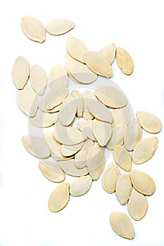 Pumpkin seed isolated on white