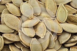 Pumpkin Seeds