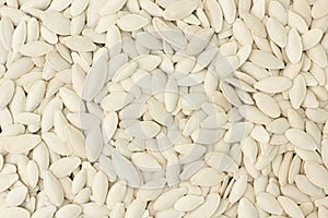 Pumpkin seeds